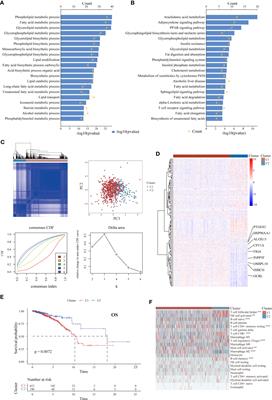 Exploration of prognosis and immunometabolism landscapes in ER+ breast cancer based on a novel lipid metabolism-related signature